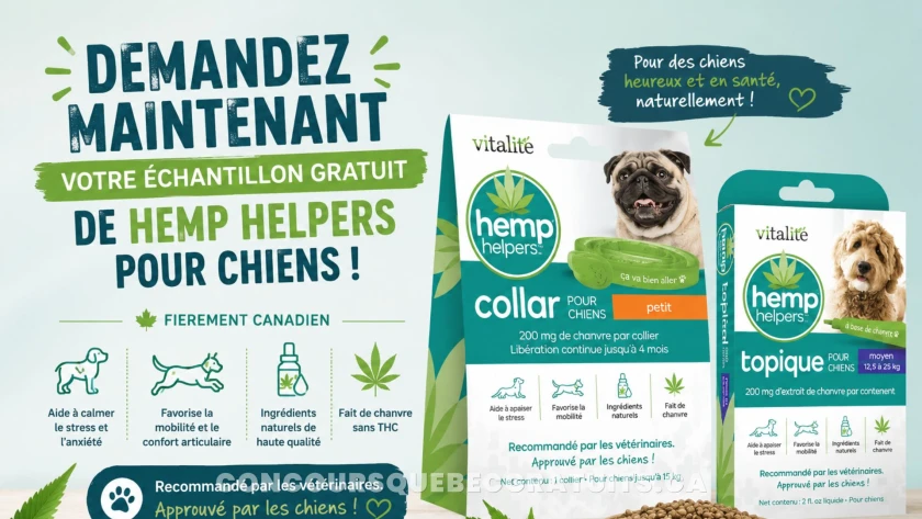 Échantillons gratuits Hemp Helpers : colliers et baumes pour chiens