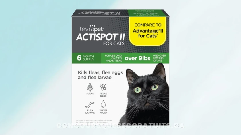 Essayez gratuitement Actispot II, traitement antipuces pour chats