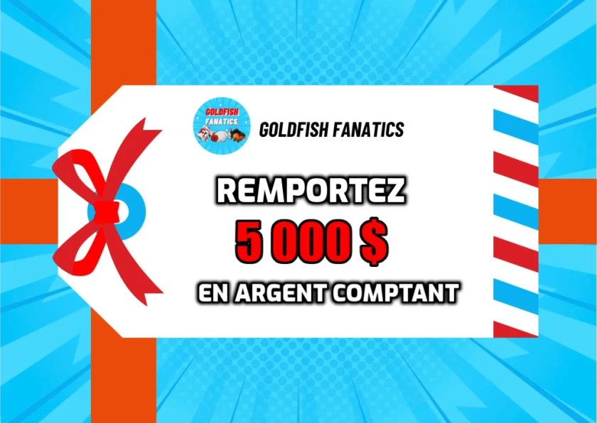 Remportez 5 000 $ en argent comptant